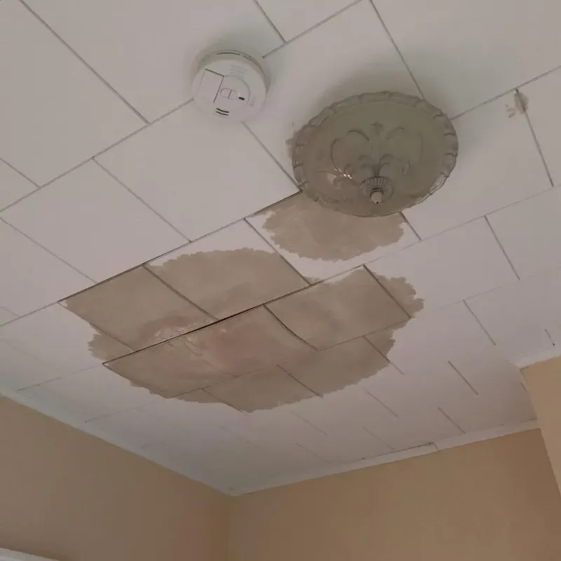 Ceiling Water Damage Repair in Carnegie, OK