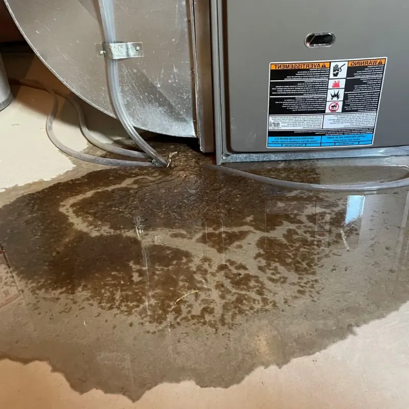 Pipe Burst and Leak Restoration in Carnegie, OK