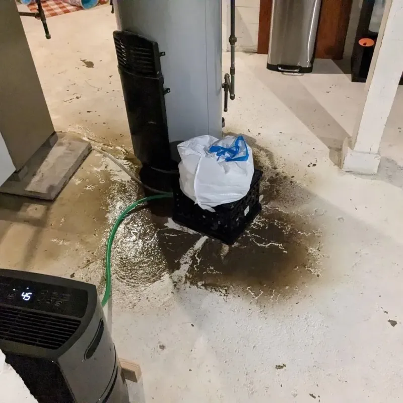 Sewage Backup Cleanup Service in Carnegie, OK